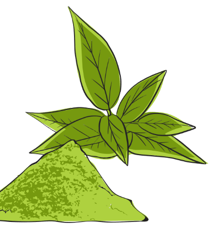 Plant