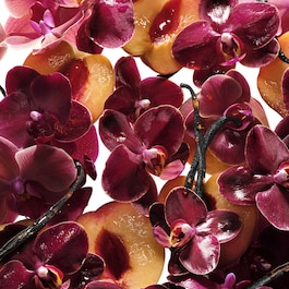 Flowerbomb Ruby Orchid - Woda perfumowana format podróżny