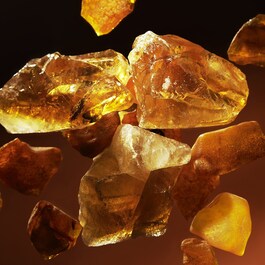 Precious Amber - Zapach do domu