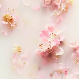 The Ritual of Sakura - Krem do ciała 