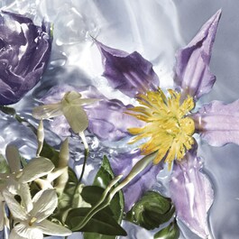 Aqua Allegoria Flora Salvaggia - Woda toaletowa