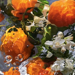 Aqua Allegoria Mandarine Basilic - Krem do rąk