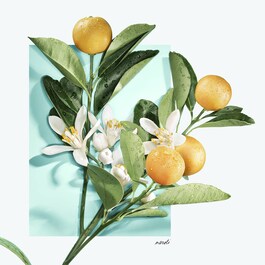Tiffany & Love for Her - Woda perfumowana