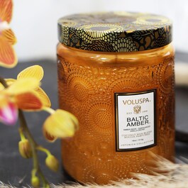 Japonica Baltic Amber Large Jar Candle - Świeca