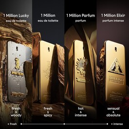 1 Million Elixir Parfum Intense 