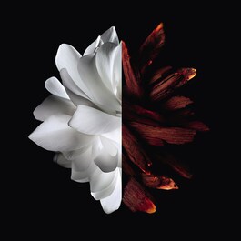L'Interdit Rouge - Woda Perfumowana