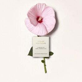 Chloé Atelier des Fleurs Hibiscus Abelmoschus - Woda perfumowana