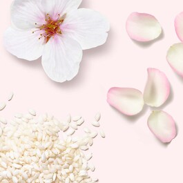 The Ritual of Sakura – Zapach do domu