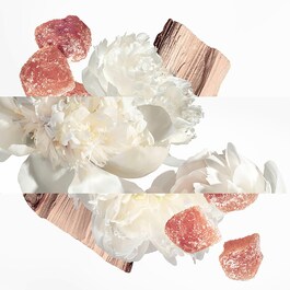 Twilly Eau Ginger - Woda perfumowana