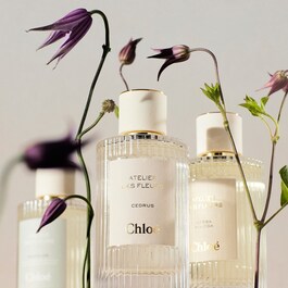 Chloé Atelier des Fleur Cedrus – Woda Perfumowana