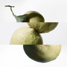 Eau de Basilic Pourpre - Woda kolońska