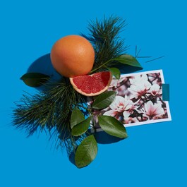 Sud Magnolia - Woda Perfumowana