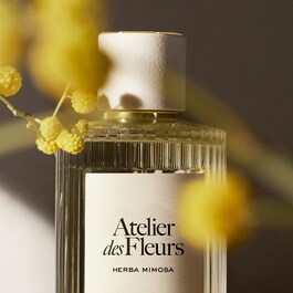 Atelier des Fleurs Herba Mimosa - Woda perfumowana