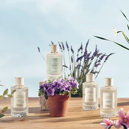 Chloé Atelier des Fleurs Hibiscus Abelmoschus - Woda perfumowana