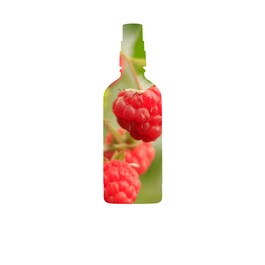 Ananda Antioxidant-Rich Gentle Toner - Tonik do twarzy 