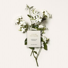 Chloé Atelier des Fleurs Jasminum Sambac - Woda perfumowana