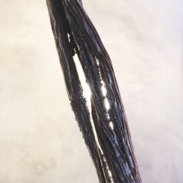 Allegra Magnifying Vanilla - Woda perfumowana