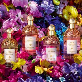 Aqua Allegoria Orange Soleia - Eau de Toilette