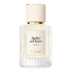 Chloé Atelier des Fleur Cedrus – Woda Perfumowana, CHLOÉ