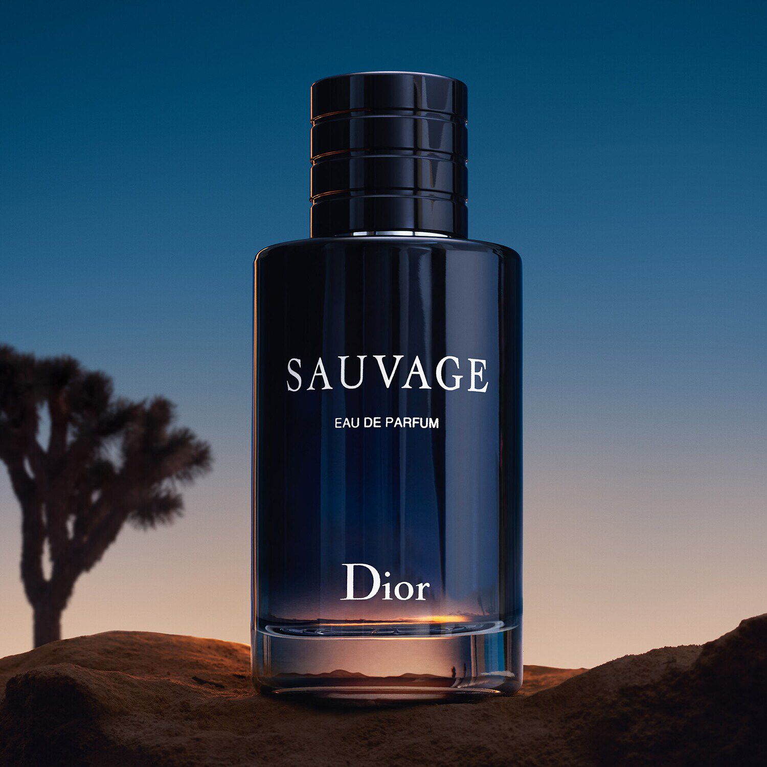 Dior sauvage 2025 eau parfum
