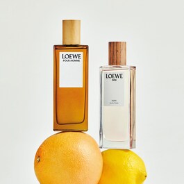 Loewe Pour Homme - Woda Toaletowa