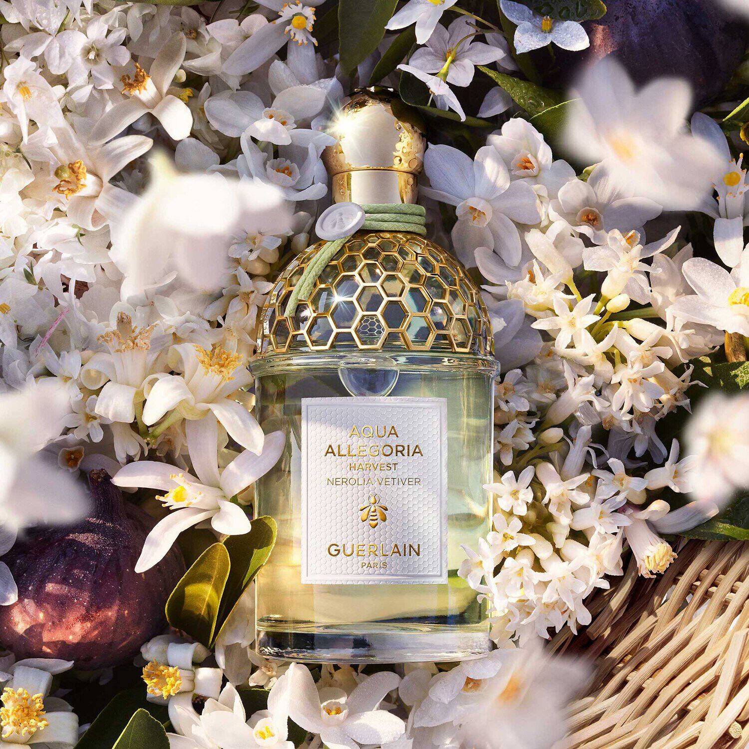 Aqua Allegoria Harvest Nerolia Vetiver - Woda Toaletowa i