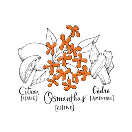 Love Osmanthus - Woda perfumowana