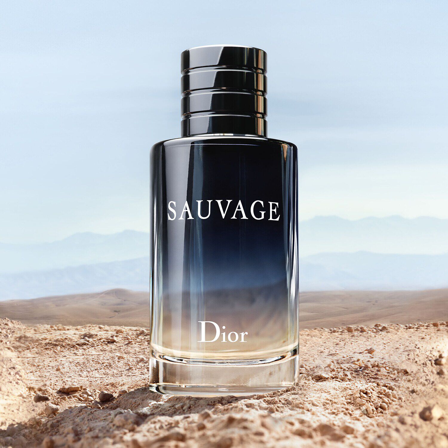 Dior toilette 2025