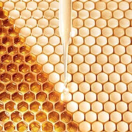 Abeille Royale Fortifying Lotion - Tonik wzmacniający z mleczkiem pszczelim