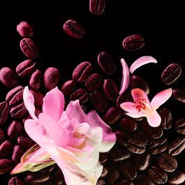 Black Opium Floral Shock - Woda Perfumowana