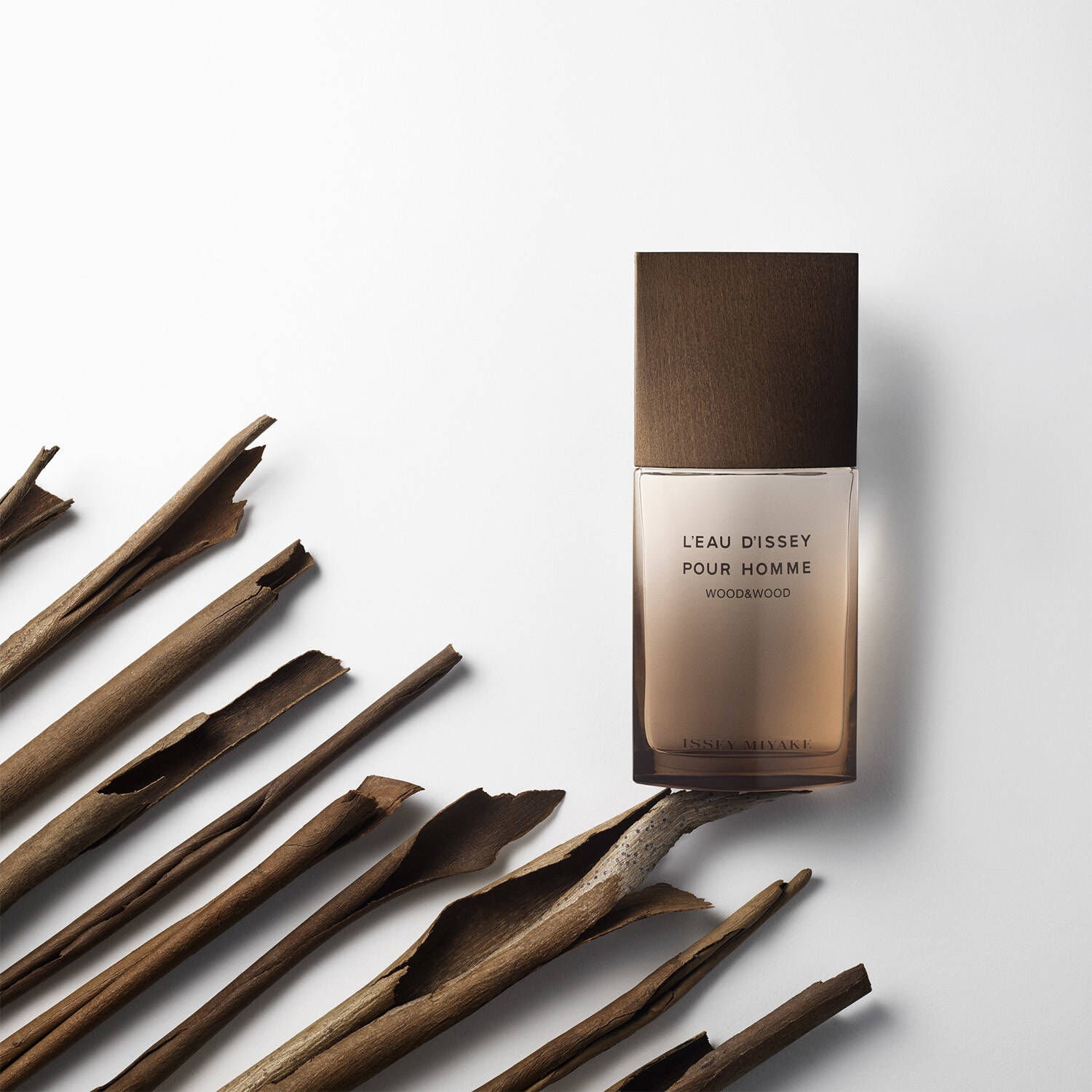 Wood and wood issey miyake cheap