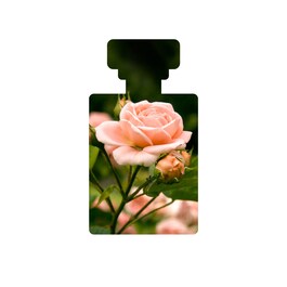  Baptise H20 Ultra-Hydrating Water Gel – Krem-żel nawilżający 