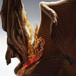 The Collection Noble Wood - Woda perfumowana