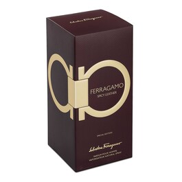 FERRAGAMO Spicy Leather