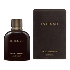 Pour Homme Intenso - Woda Perfumowana, DOLCE & GABBANA