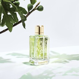 Maison lancôme figues & agrumes - Woda perfumowana
