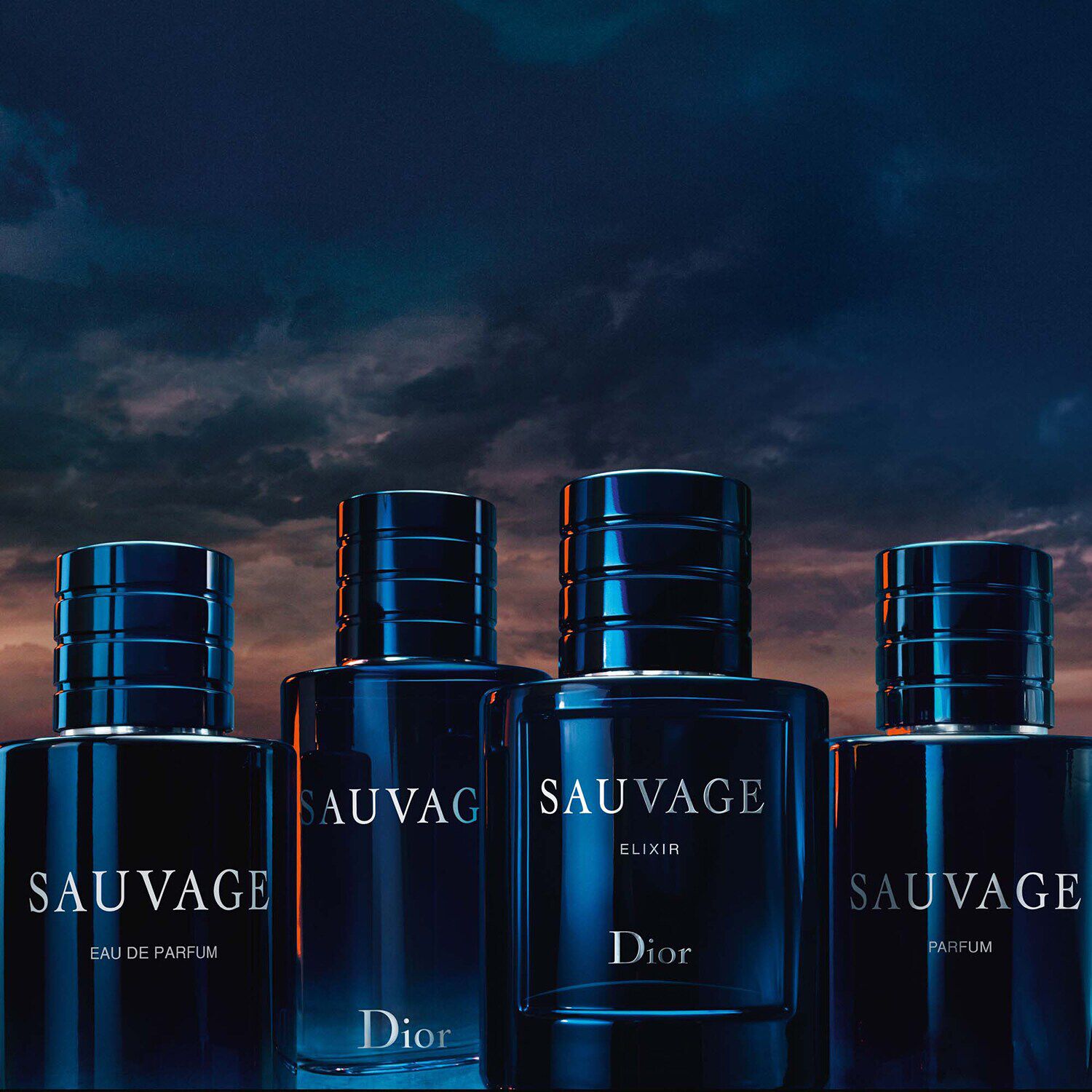 Dior sauvage sephora top