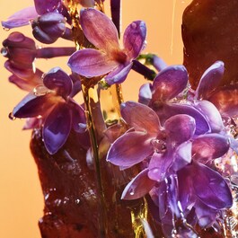 Allegra Rock'n'Rome - Woda perfumowana
