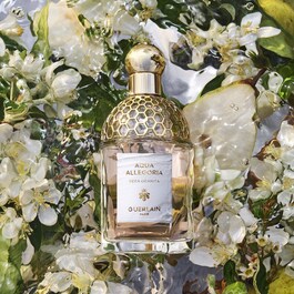 Aqua Allegoria Pera Granita – Woda toaletowa