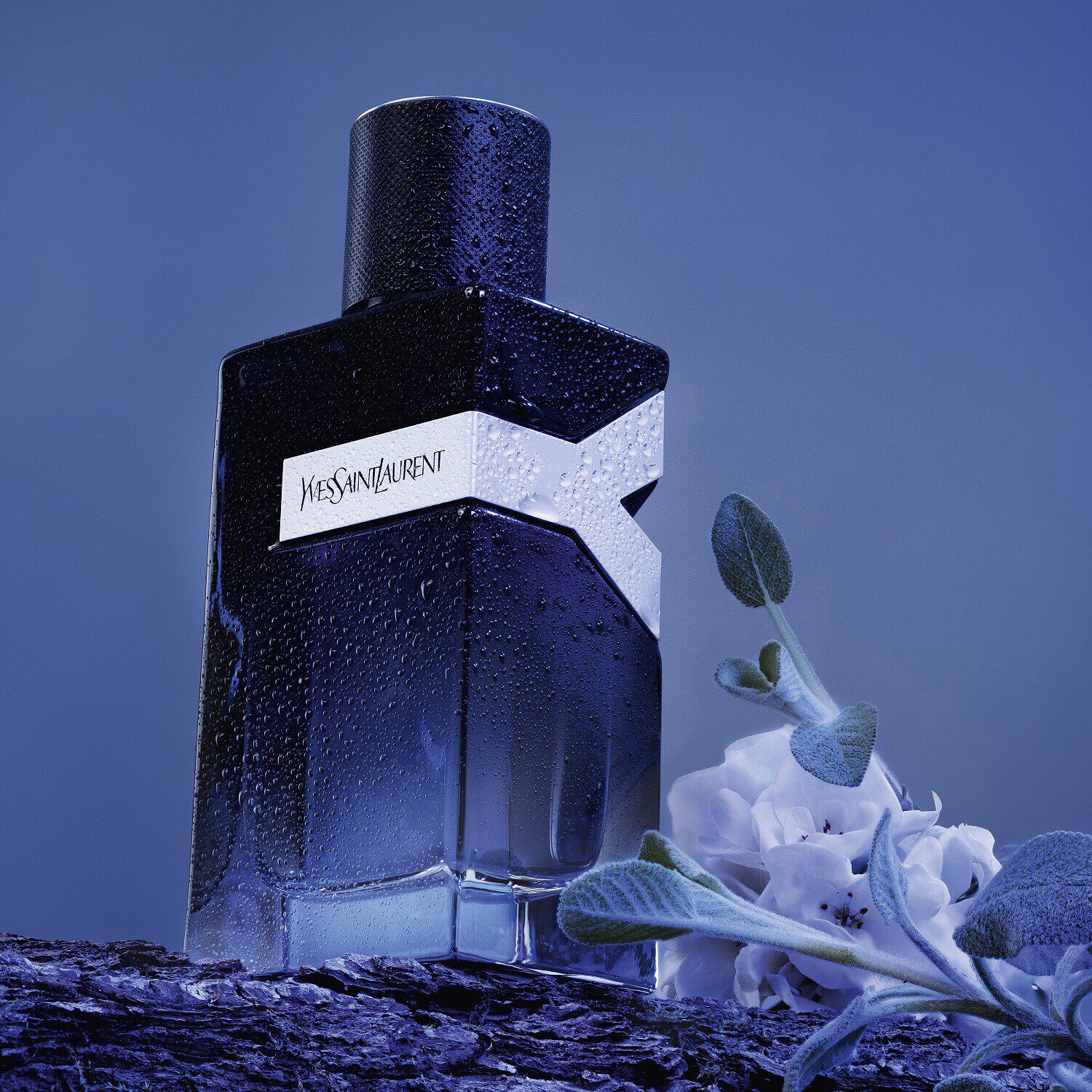 Y Woda perfumowana i YVES SAINT LAURENT SEPHORA