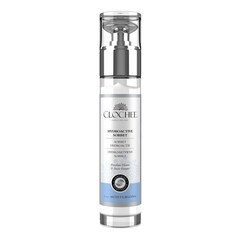 Hydroactive Sorbet - Hydroaktywny sorbet, CLOCHEE
