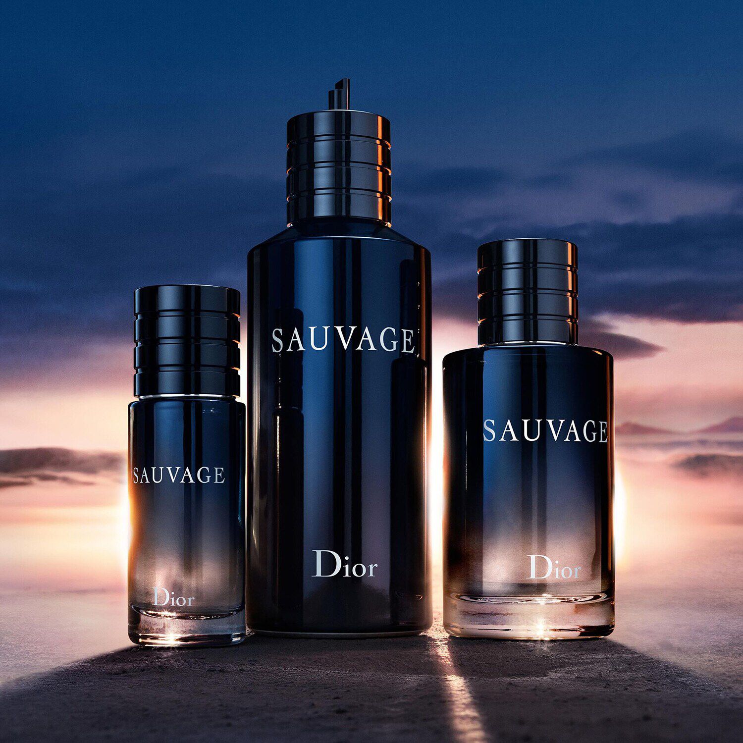 Dior sauvage eau on sale de toilette 100ml price