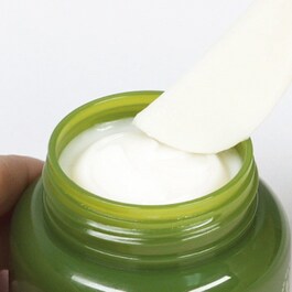 Intensive Hydrating Cream with Green Tea Seed - Krem do twarzy