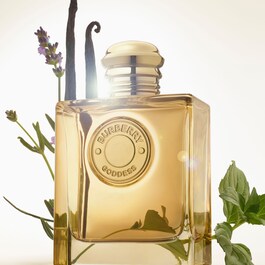 BURBERRY GODDESS INTENSE