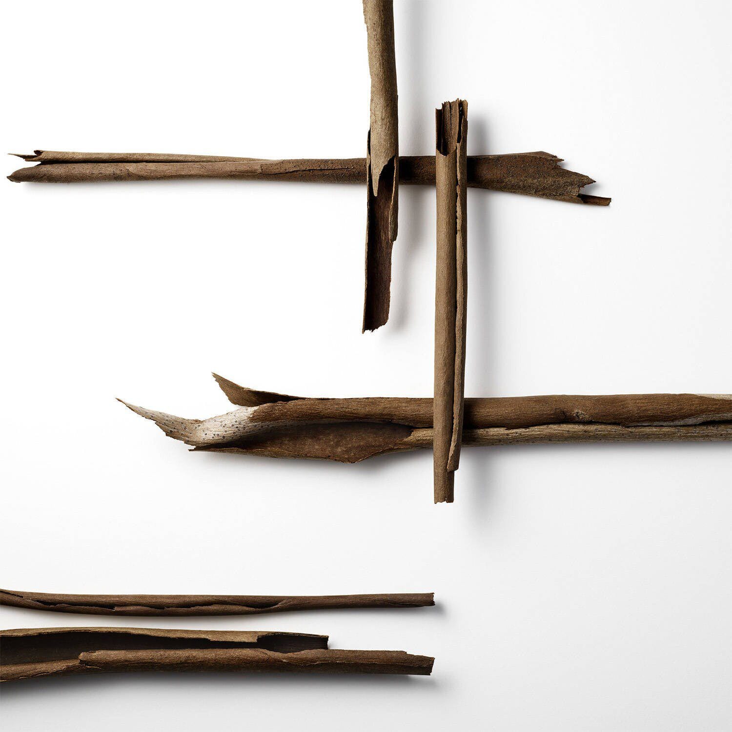 Wood and wood issey 2025