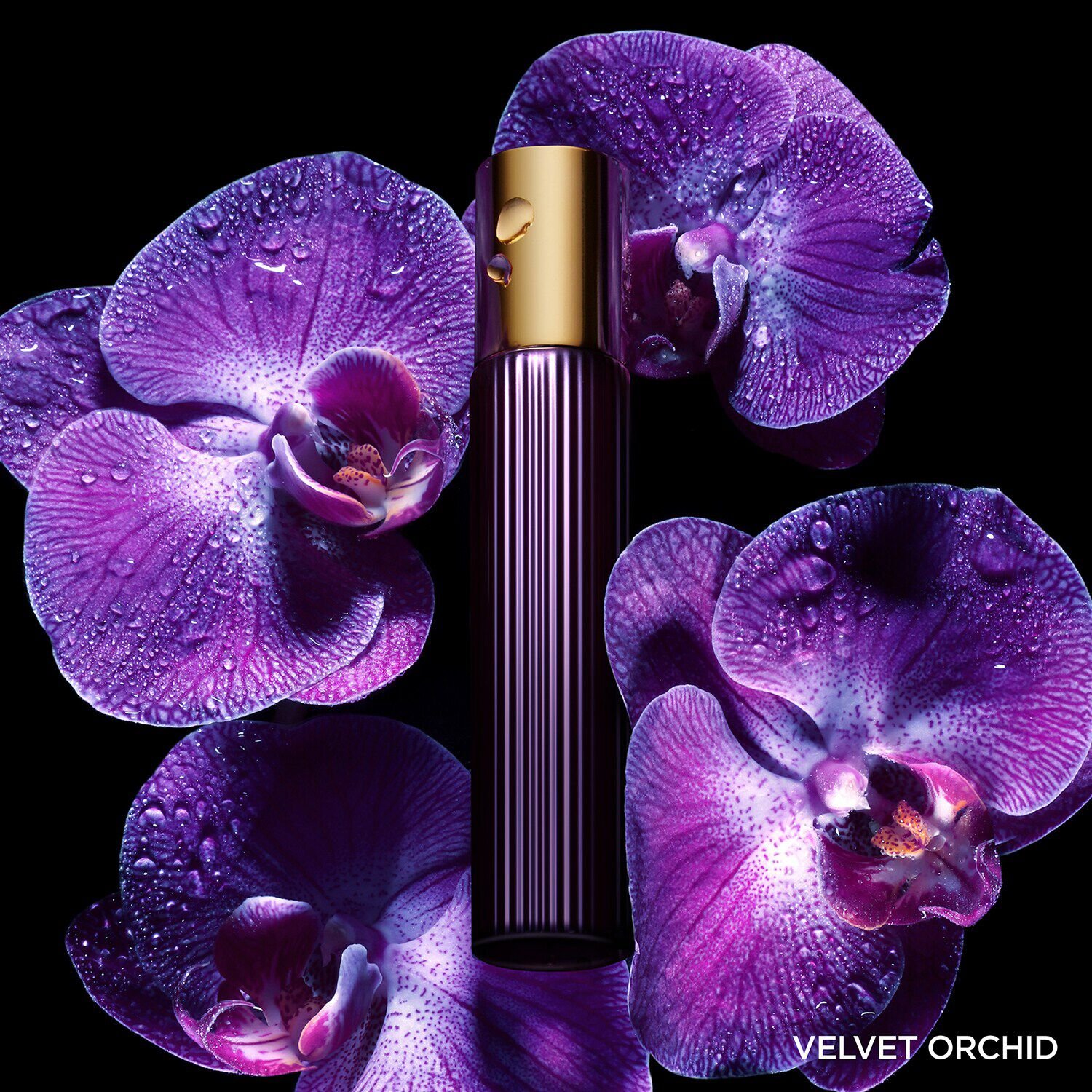 Best price tom ford velvet orchid cheap