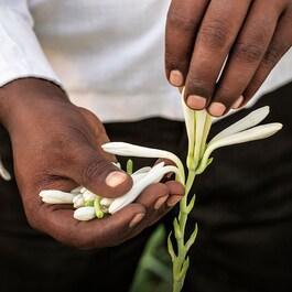 L'interdit Tuberose Noir - Woda perfumowana