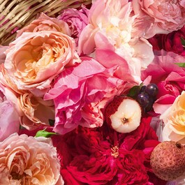 Aqua Allegoria Harvest Rosa Rossa - Woda Toaletowa