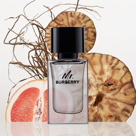 Mr burberry clearance indigo recenzja