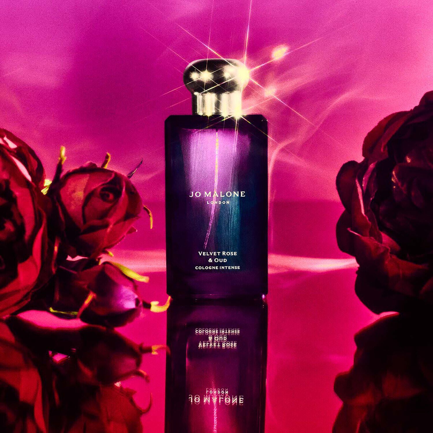 Velvet Rose & Oud - Cologne Intense i JO MALONE LONDON (50